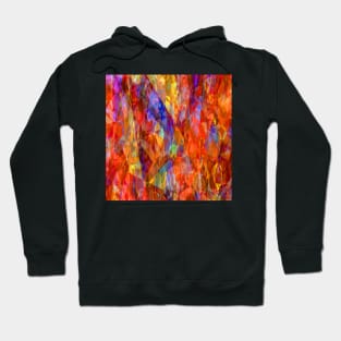 Orange Shades 1 Hoodie